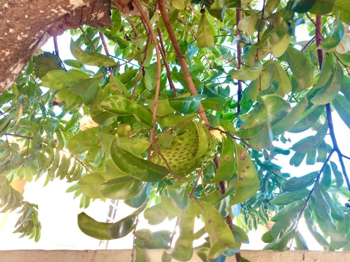 Branca Tropical Brasil Residencial- Taperapuan Villa Porto Seguro 0*,