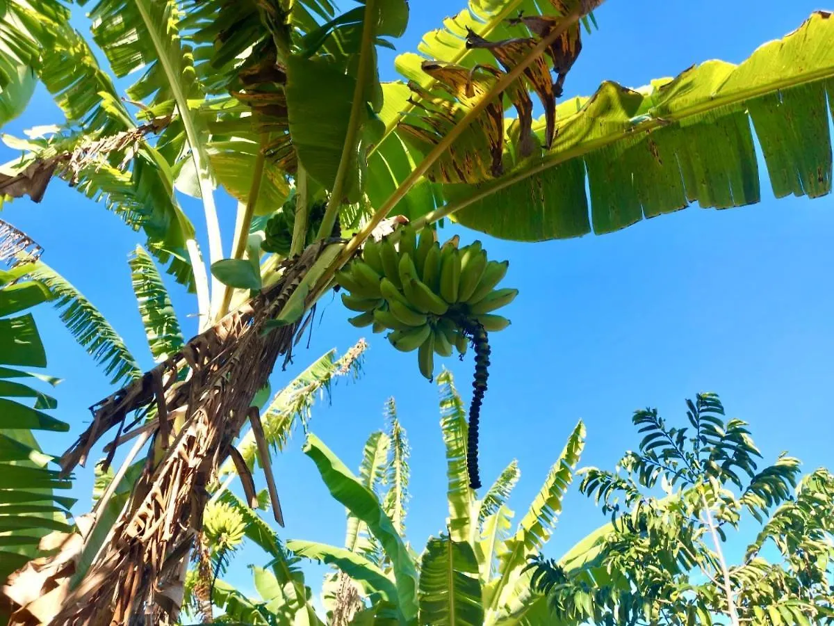 Branca Tropical Brasil Residencial- Taperapuan Villa Porto Seguro Brazil